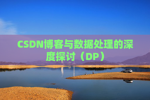 CSDN博客与数据处理的深度探讨（DP）