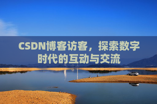 CSDN博客访客，探索数字时代的互动与交流